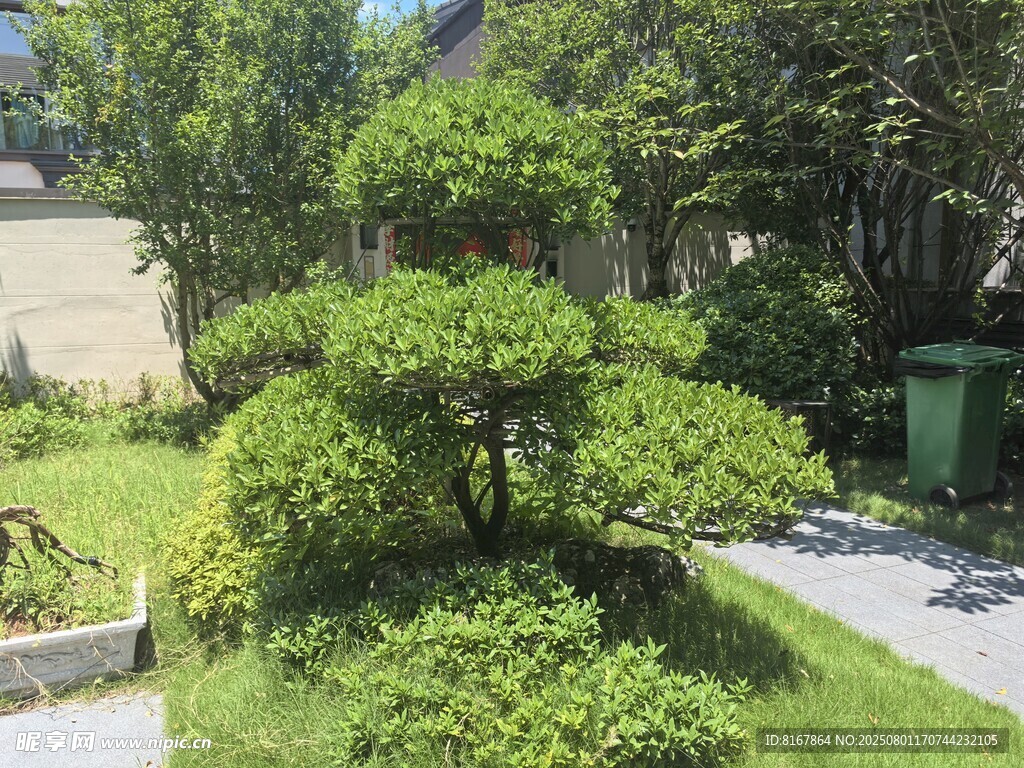中式庭院景观绿植