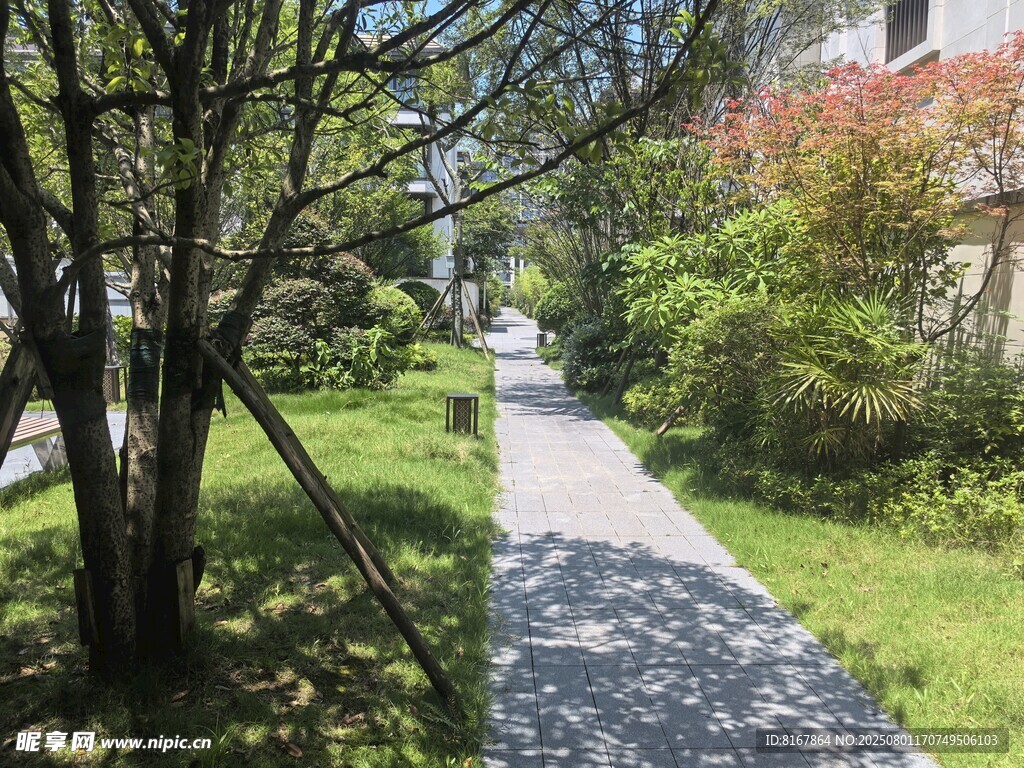 绿意盎然的景致