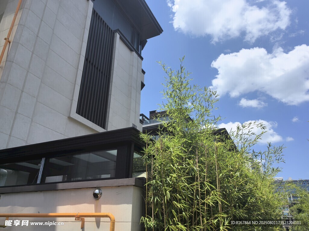 现代住宅旁的绿植与蓝天