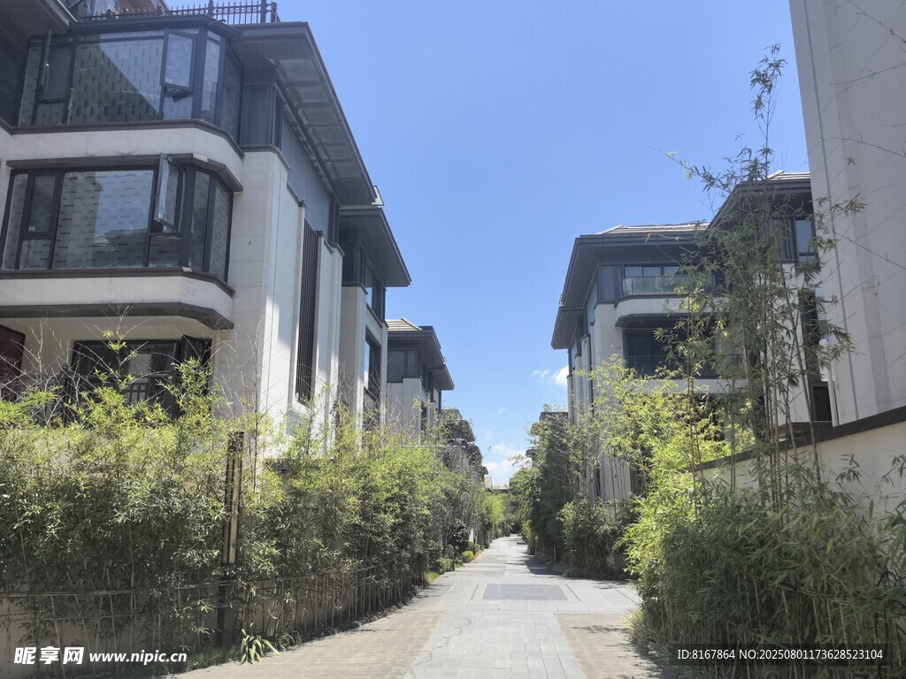宁静小巷旁的雅致住宅