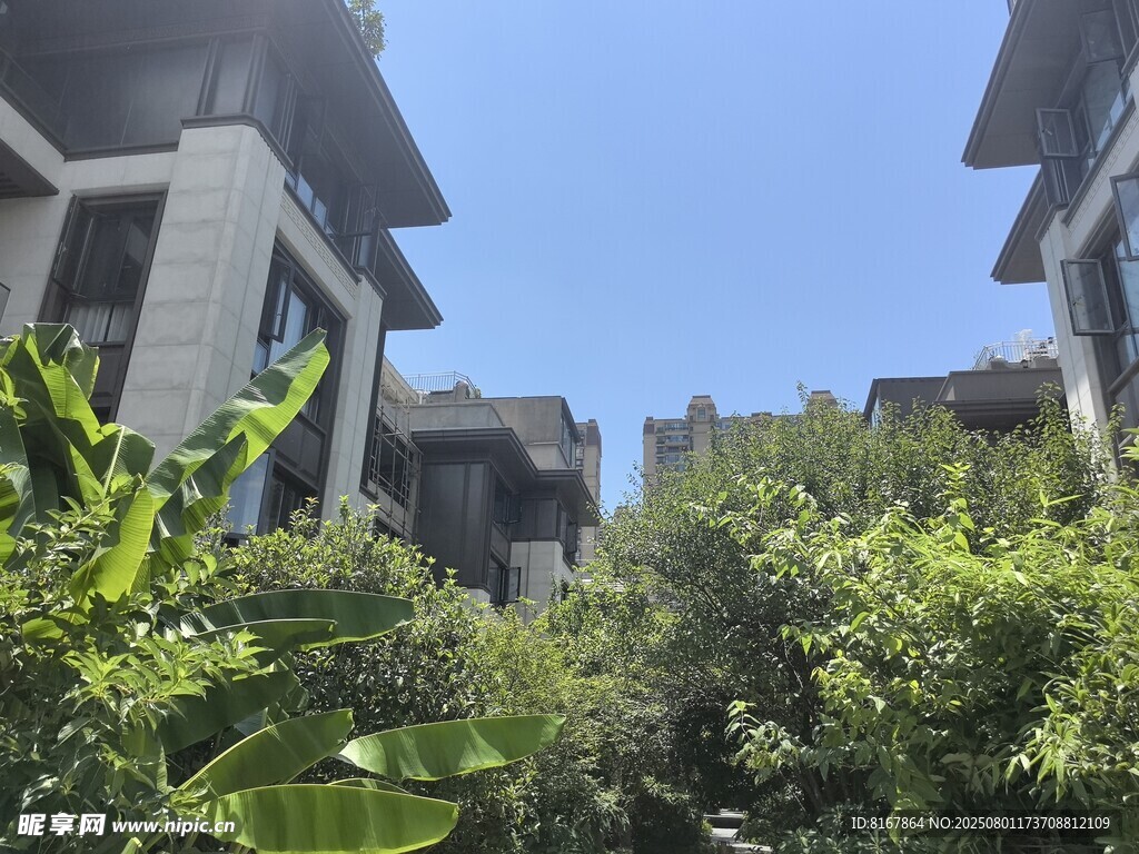 绿植环绕的现代建筑景观