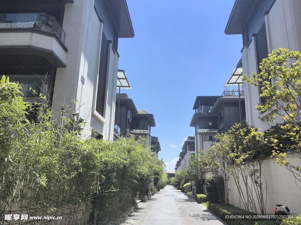 宁静雅致的别墅间绿荫小道