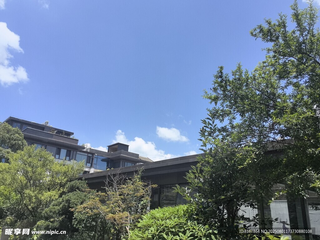 绿树环绕的精致建筑