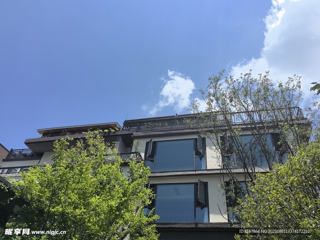 绿树环绕的多层住宅建筑