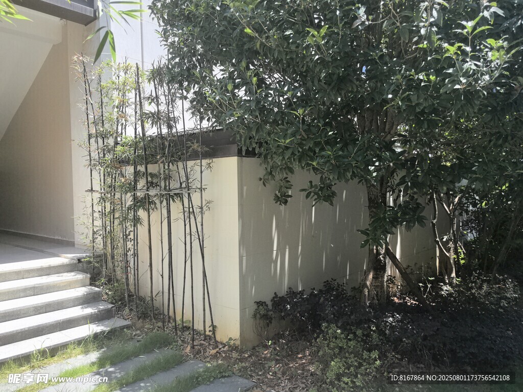 庭院绿植与建筑一角