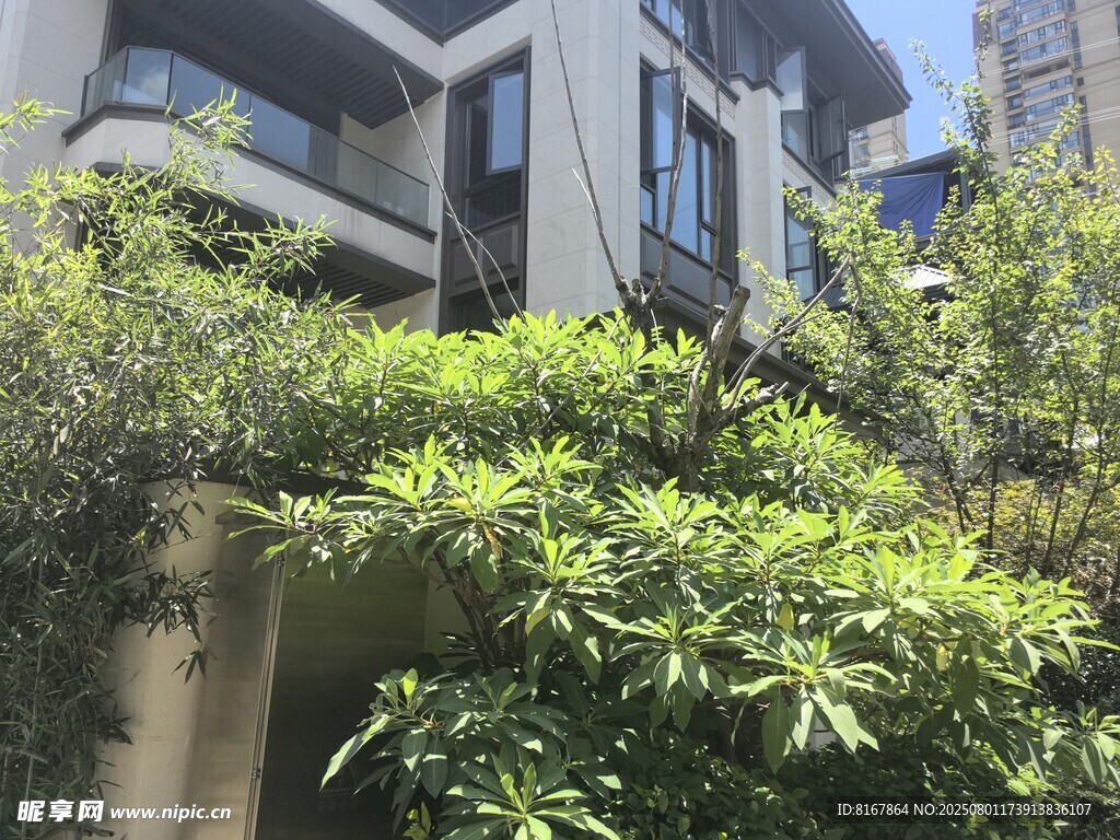 绿植环绕的现代建筑