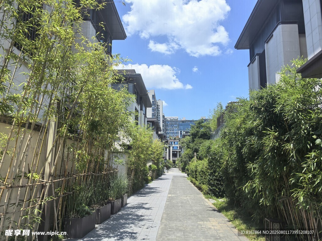 绿植环绕