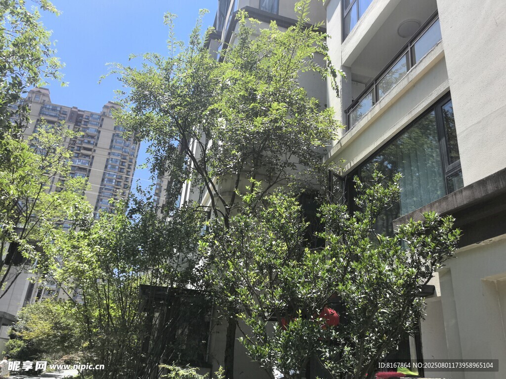 城市中繁茂绿植环绕的建筑