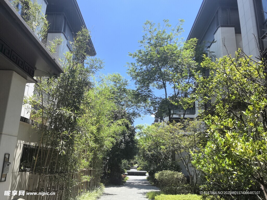 宁静小区绿植环绕的小道