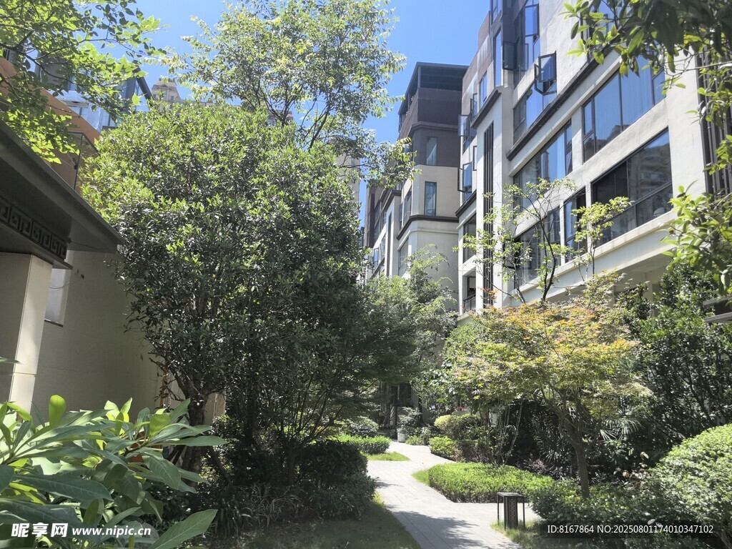 庭院绿植环绕的现代建筑