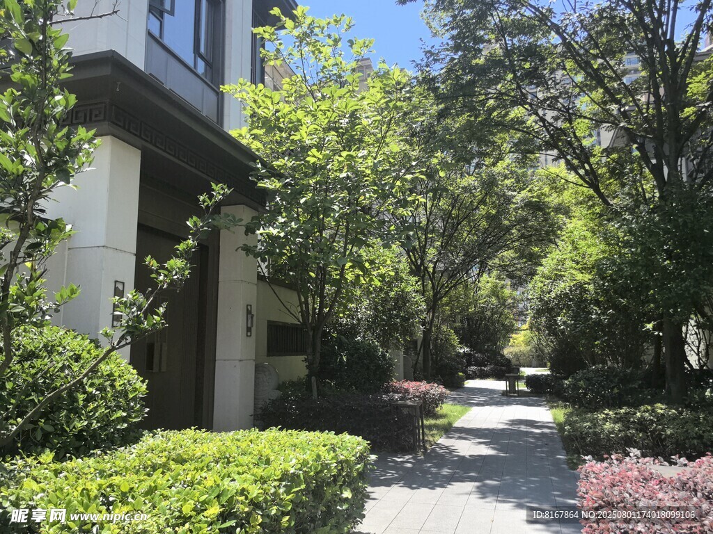 优雅静谧的庭院景观