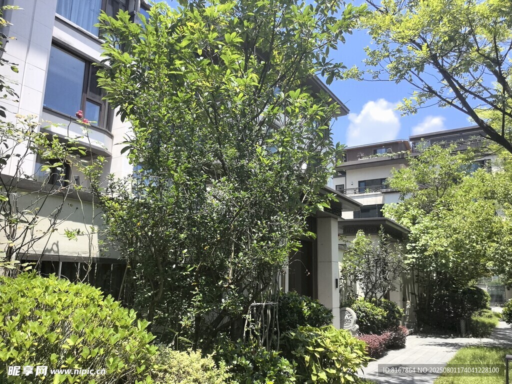 庭院绿植环绕的雅致住宅