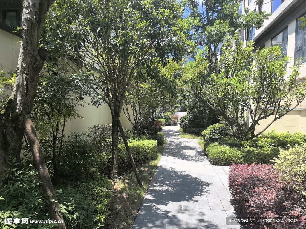 小区内幽静的绿植小径