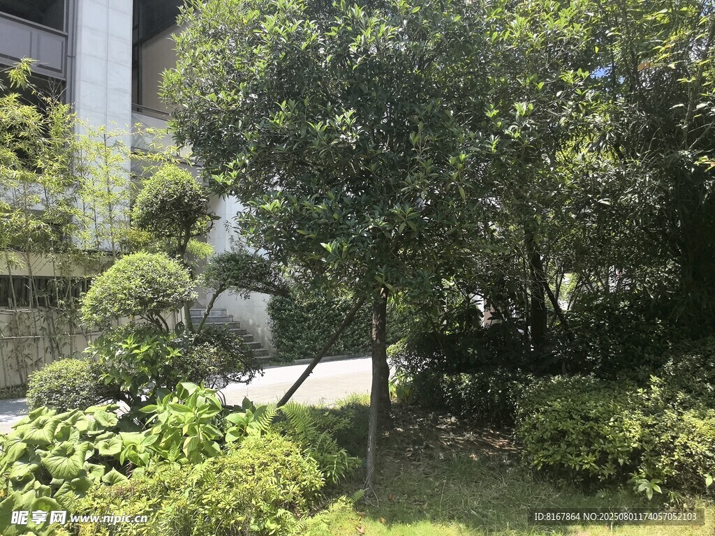 城市中的绿意盎然景观