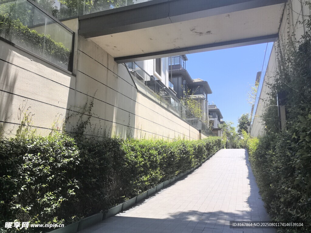 小区内的绿荫步道景观