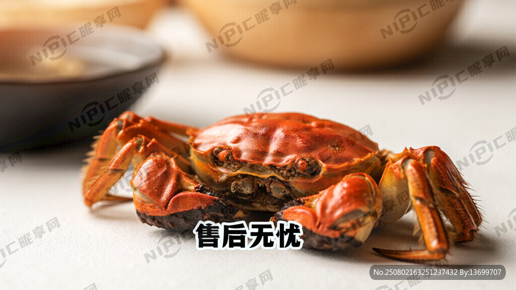 售后无忧 为了加快售后进度