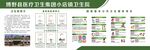 国家基本公共卫生服务项目