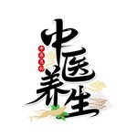 传统中医养生毛笔标题字