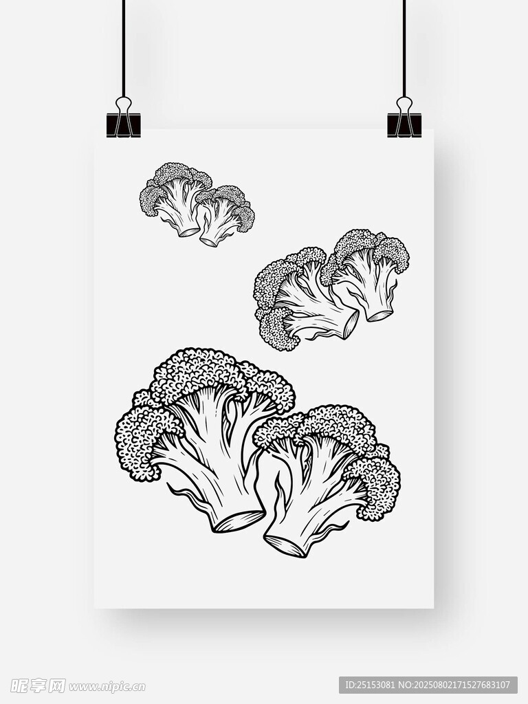 简约西兰花插画艺术图