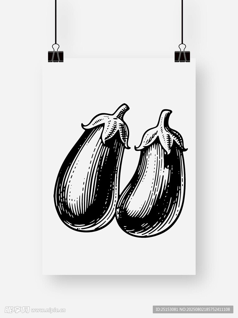 黑白手绘茄子艺术插画