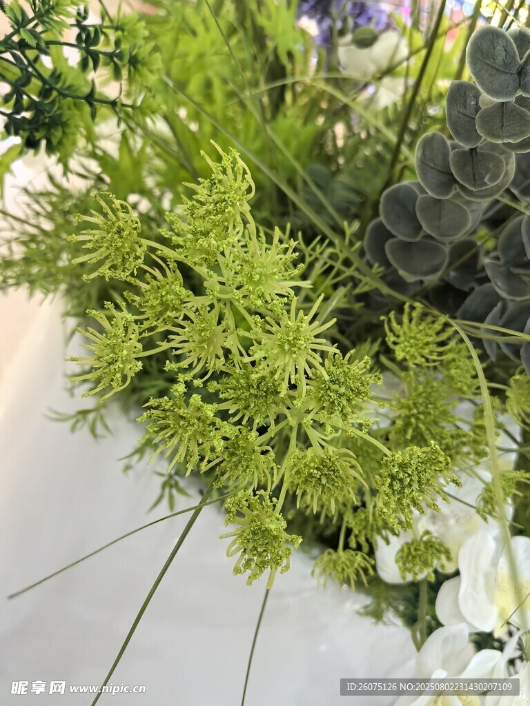 清新绿植花卉组合