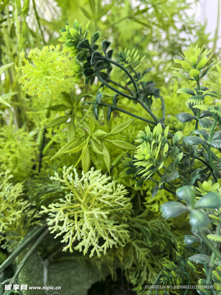 翠绿繁茂的多样仿真植物景观