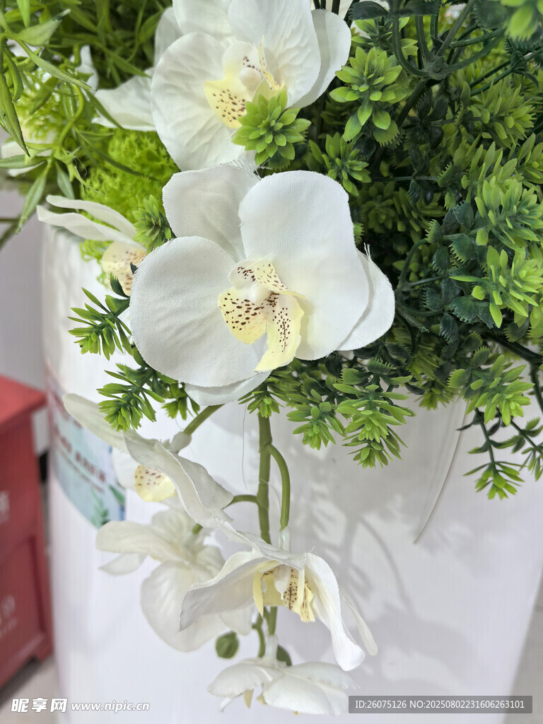白色仿真兰花插花装饰摆件