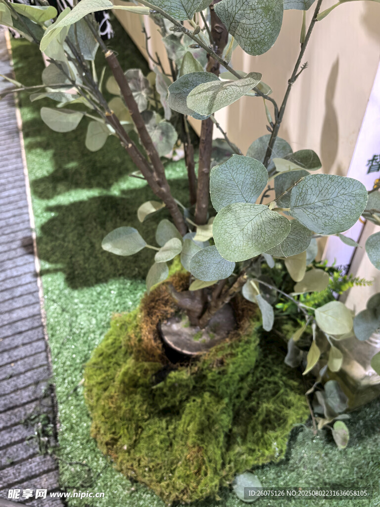 仿真苔藓绿植中的静谧角落