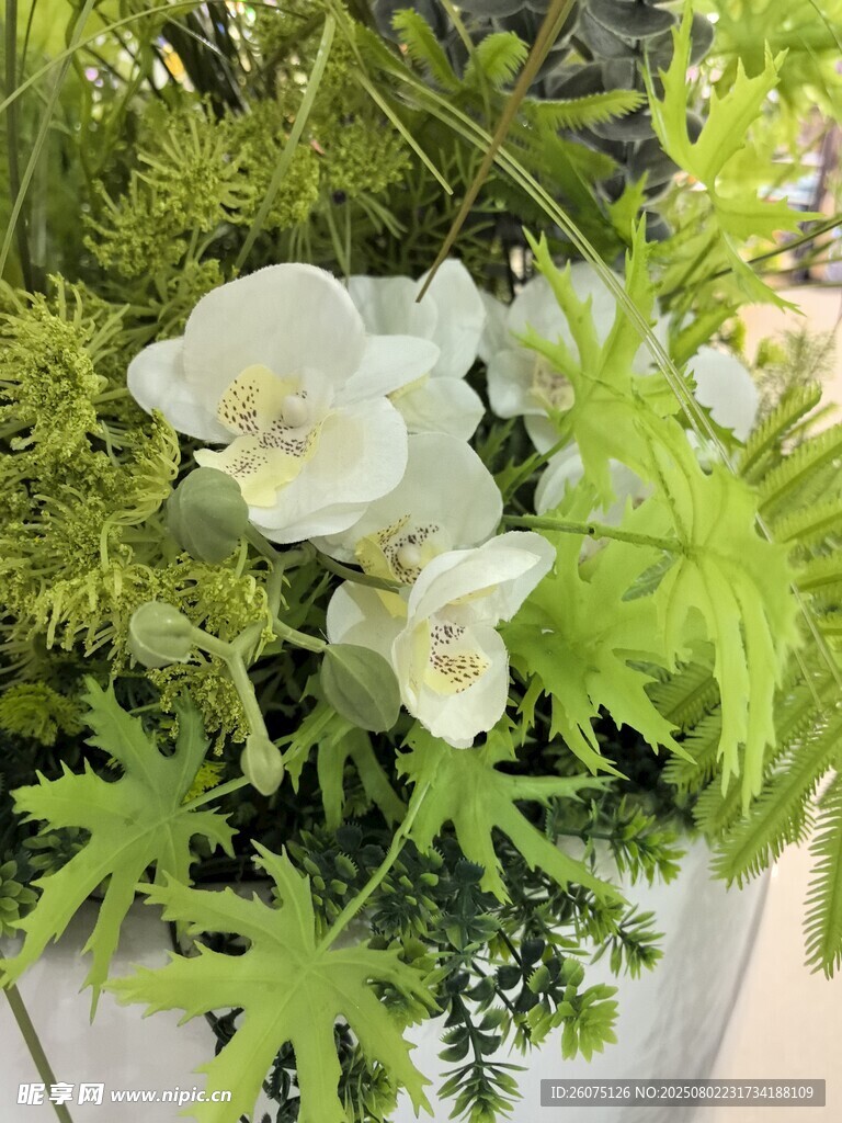 白色仿真花卉与绿植组合