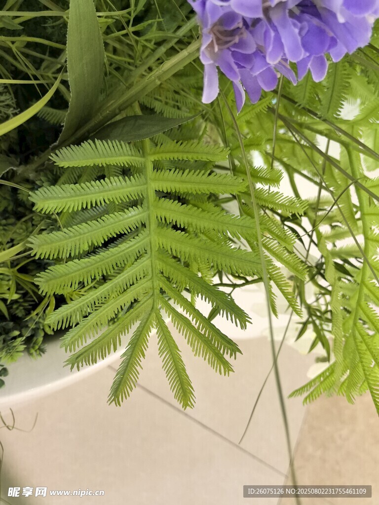紫色仿真花卉与蕨类植物组合
