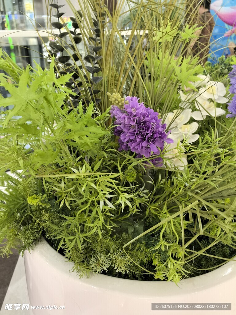 白色花盆中的仿真多彩植物