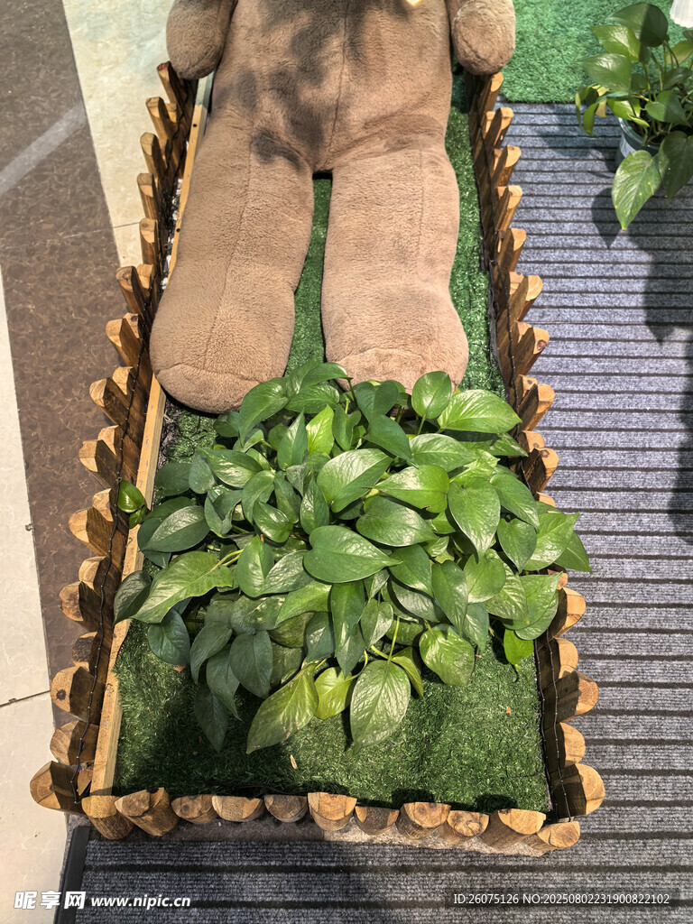 编织筐中的绿植盆栽与玩偶