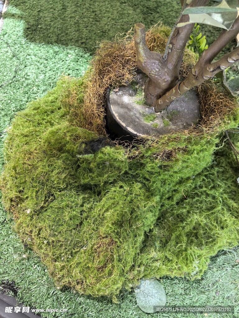 仿真苔藓特写