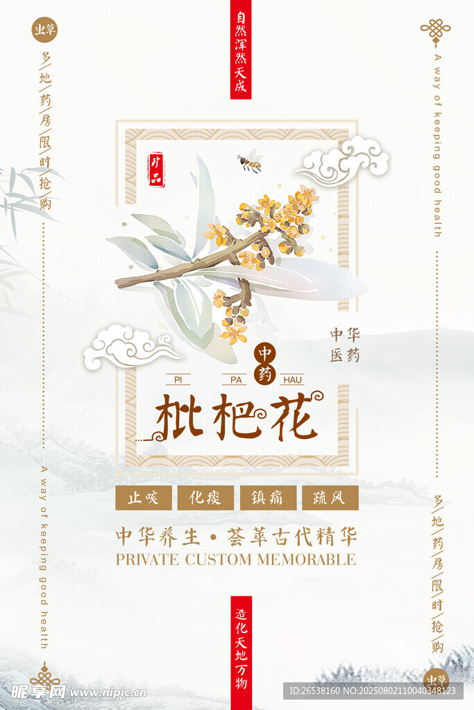 枇杷花海报