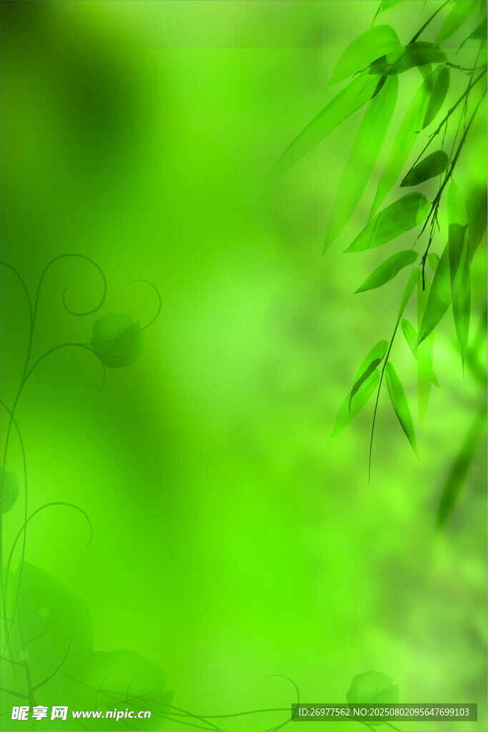 翠绿枝叶特写