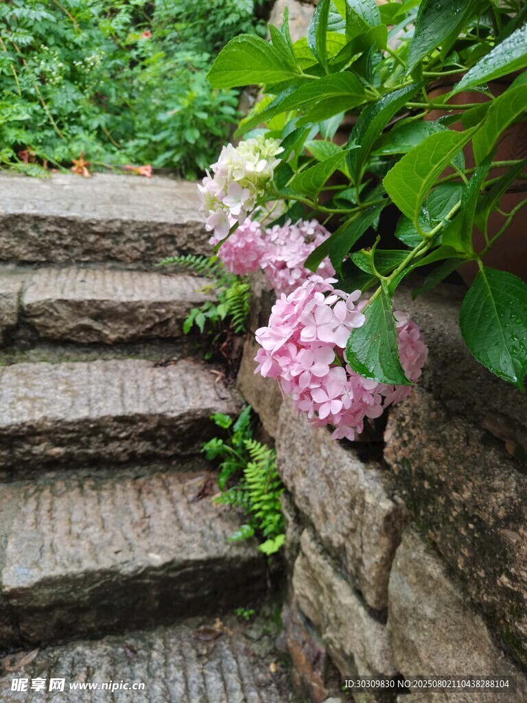 室外景台
