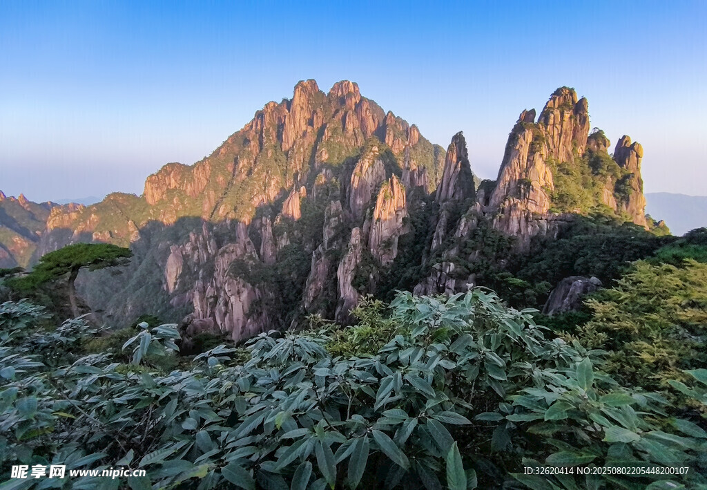 壮丽山景 植被覆盖的奇峰