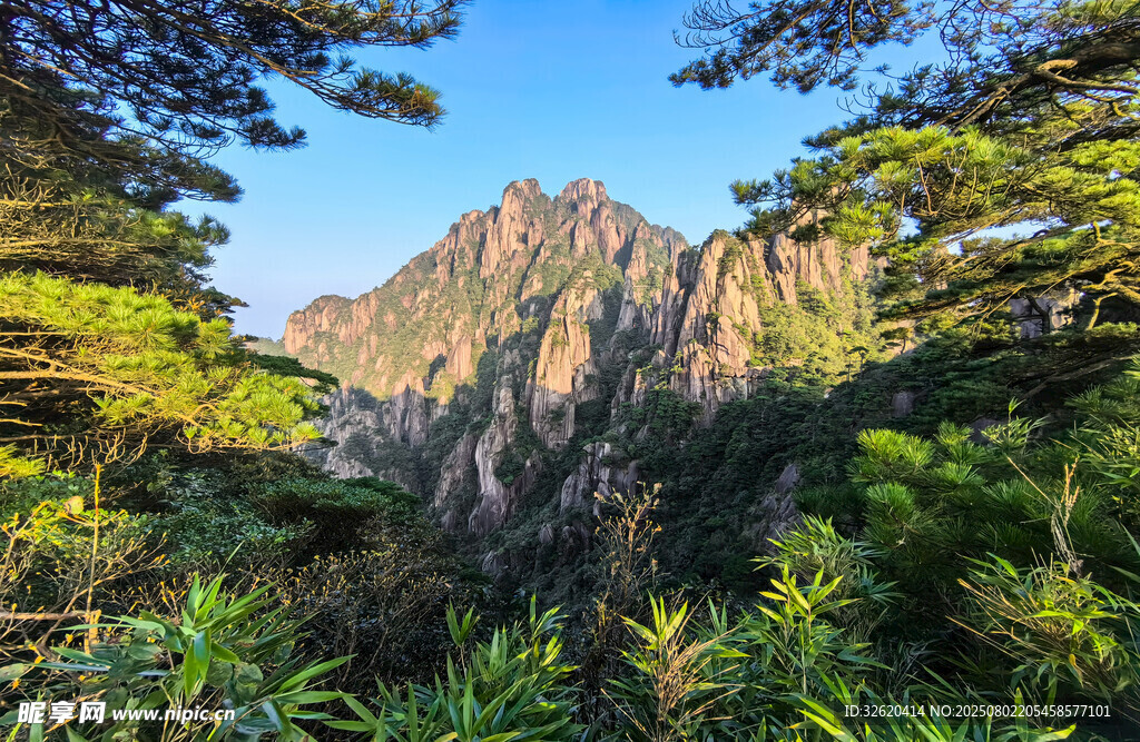 秀丽山峰被葱郁植被环绕