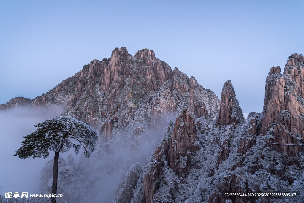 雪覆奇峰 孤松傲立山间