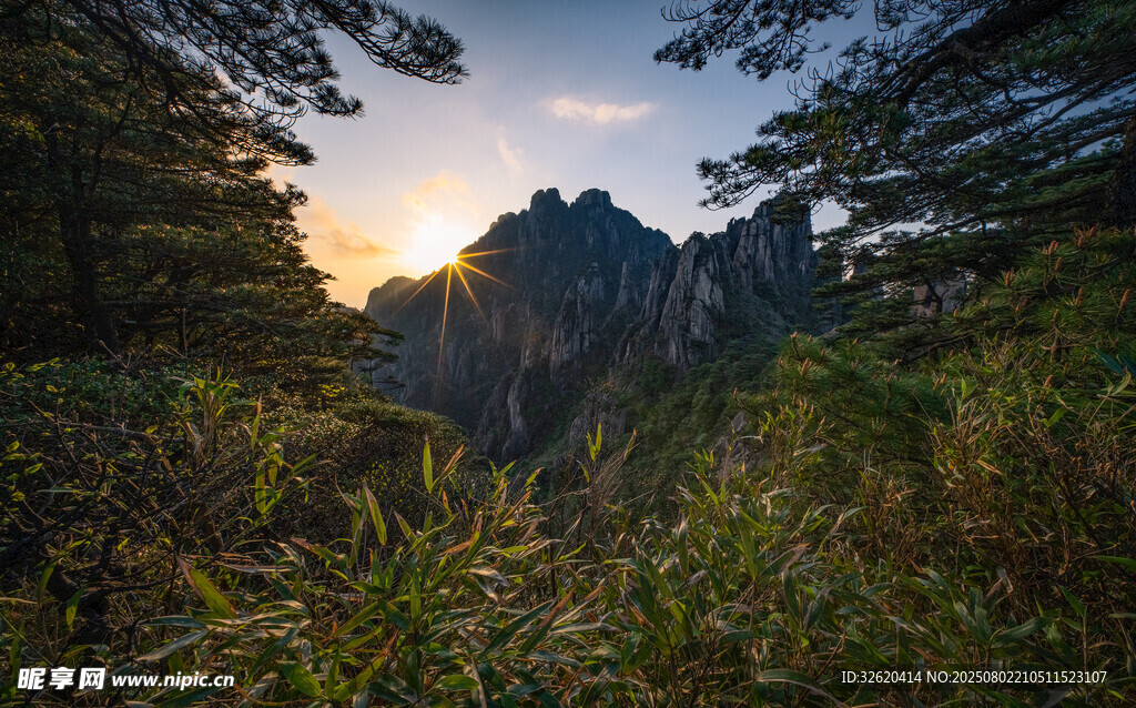 山林间的壮丽日出景观