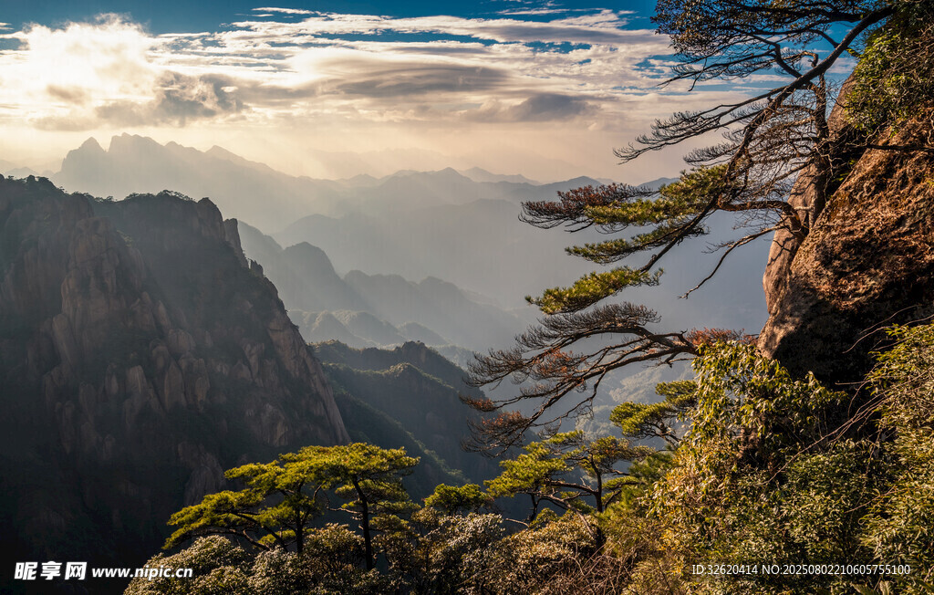 壮丽山景与奇松