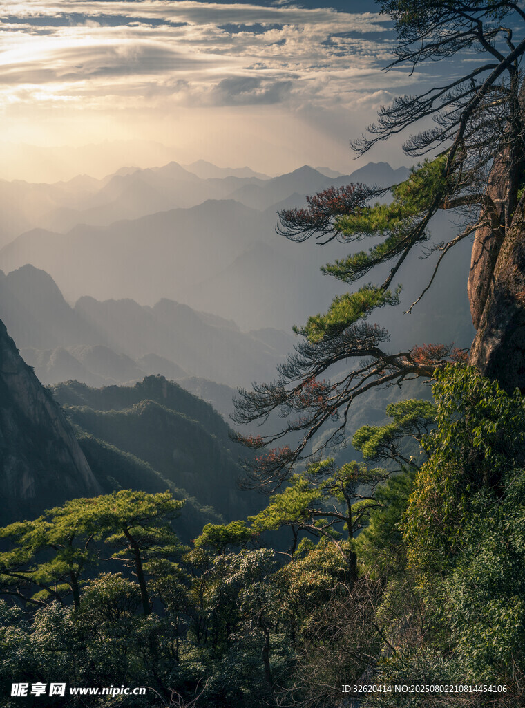 山间晨曦中的葱郁景致