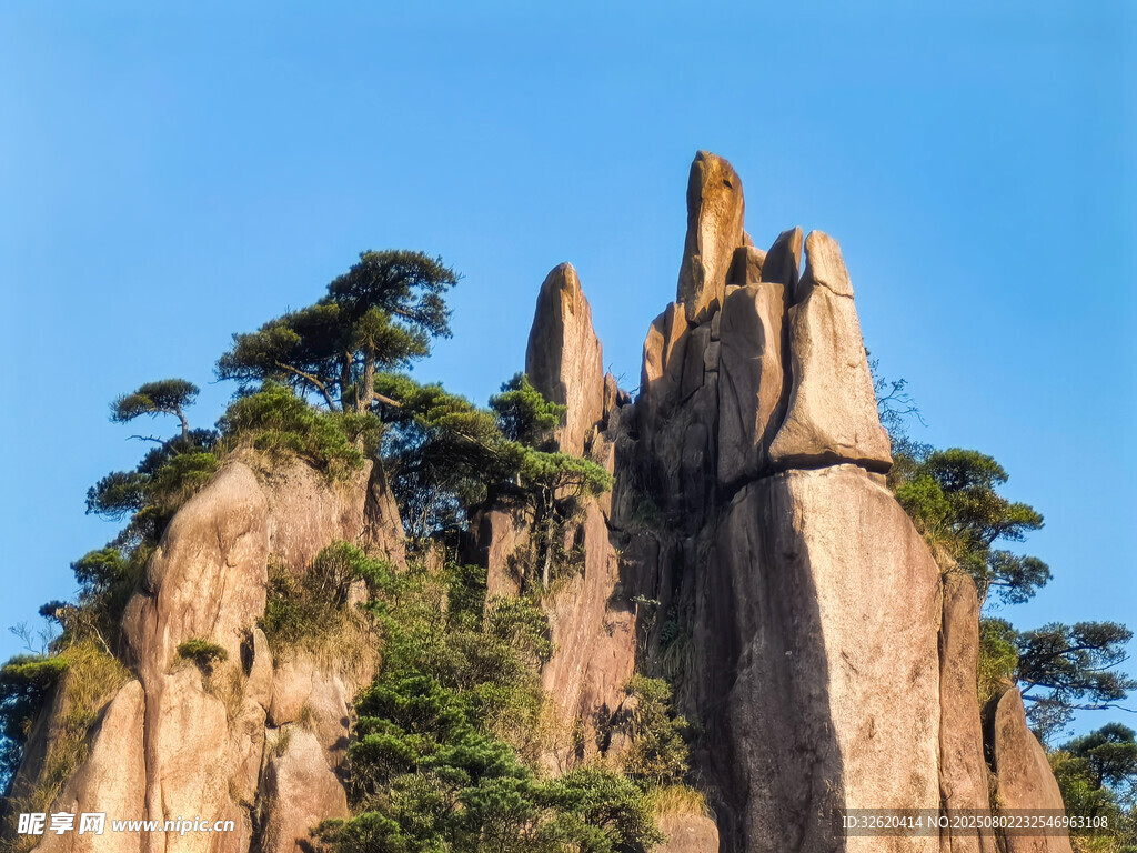 黄山奇峰与苍松景观