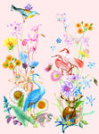 梦幻花鸟插画 色彩缤纷