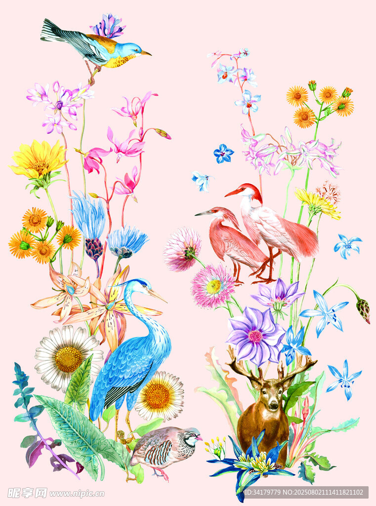 梦幻花鸟插画 色彩缤纷
