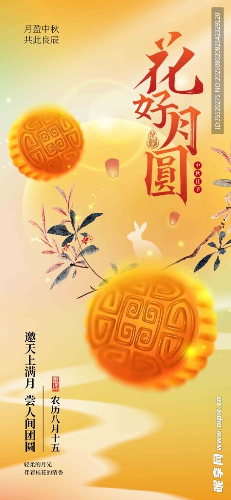花开明媚 秋意浓景