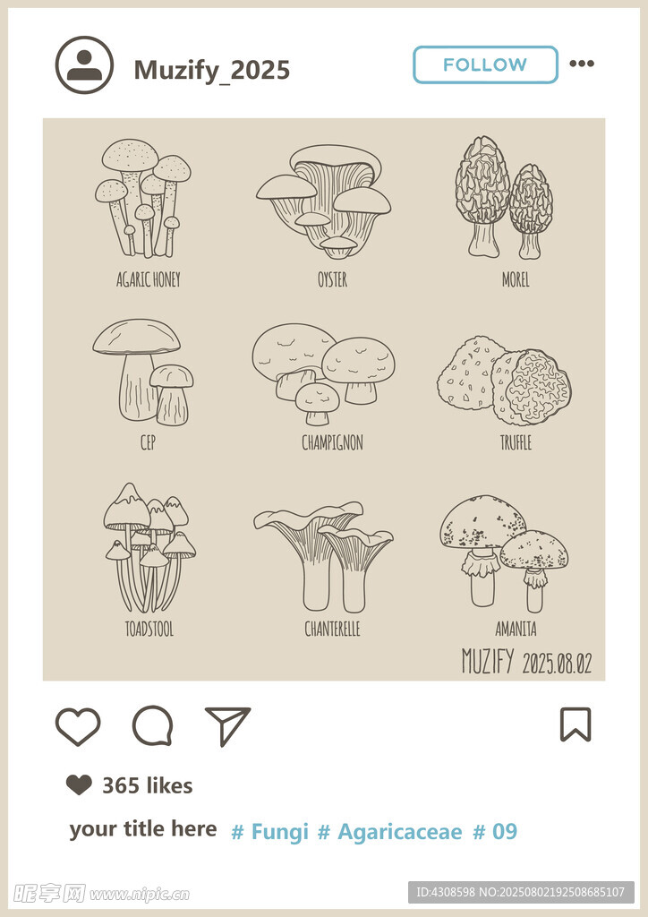9款入蘑菇图案