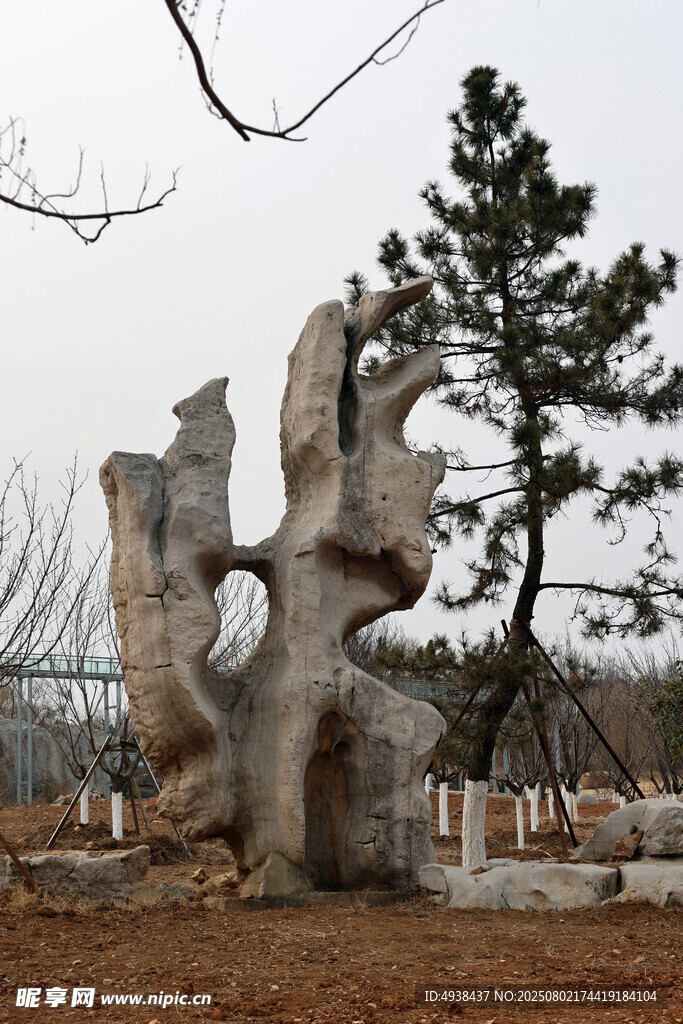 独特造型的户外景观石