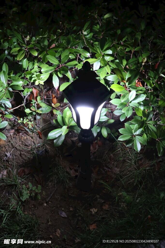 夜间绿植中的亮灯小灯具