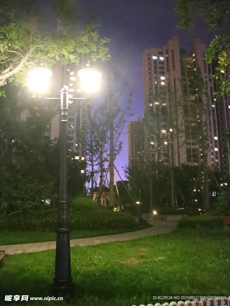 夜晚公园中的明亮路灯